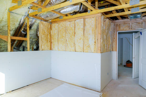 Best Eco-Friendly Insulation in Garden View, PA
