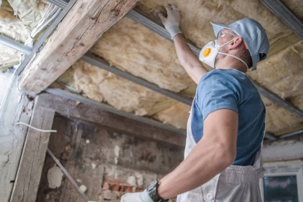 Best Cellulose Insulation in Garden View, PA