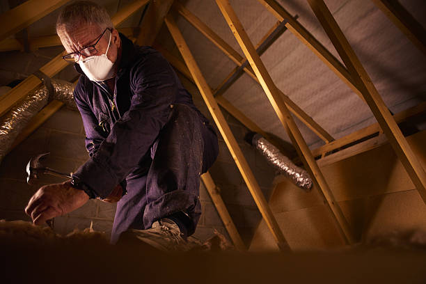 Types of Insulation We Offer in Garden View, PA